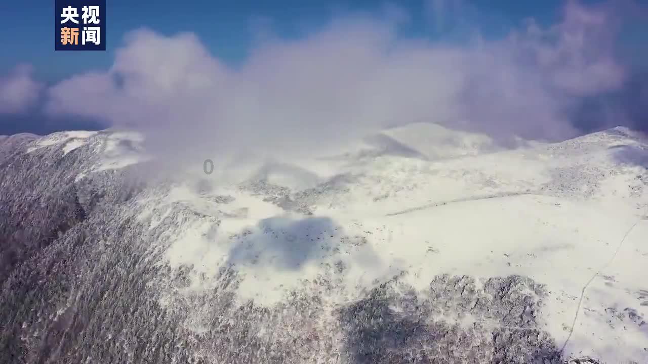 办公室助理